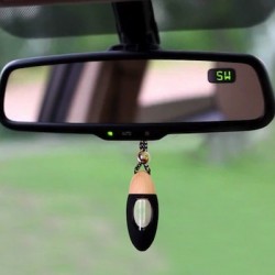 Car Diffusers