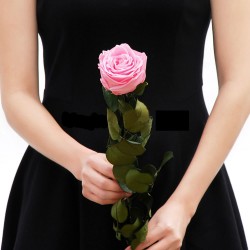 Preserved Stem Roses