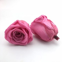 Preserved Rose Heads